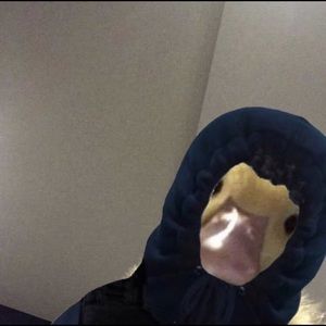 Meet your Posher, Ronald